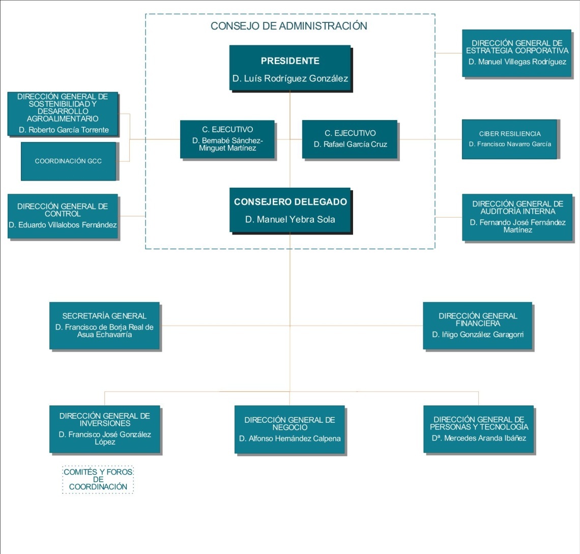 organigrama bcc